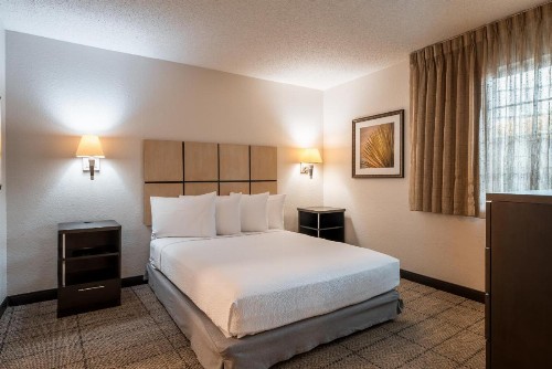 Sonesta Simply Suites Dallas Richardson - image 32