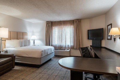 Sonesta Simply Suites Dallas Richardson - image 5