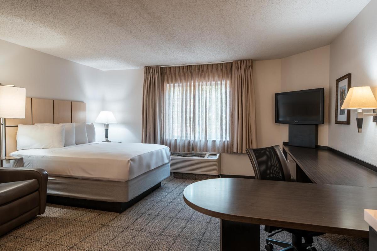 Sonesta Simply Suites Dallas Richardson - image 5