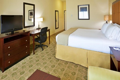 Holiday Inn Express & Suites Dallas Fair Park - image 39