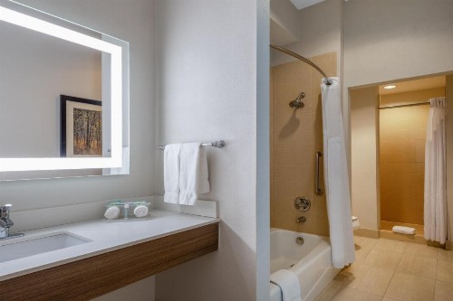 Holiday Inn Express & Suites Dallas Fair Park - image 41