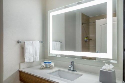 Holiday Inn Express & Suites Dallas Fair Park - image 8