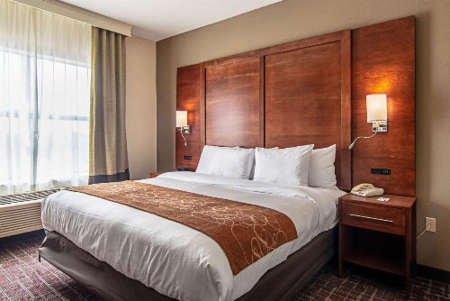 Comfort Suites NW Dallas Near Love Field - image 12