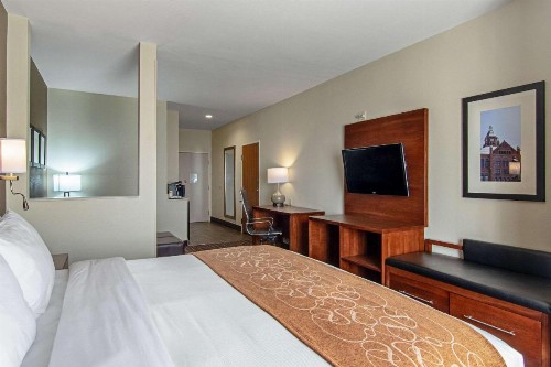 Comfort Suites NW Dallas Near Love Field - image 13
