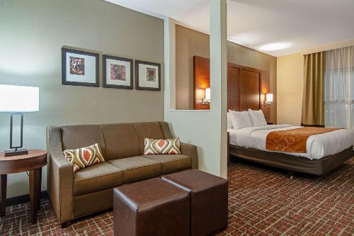 Comfort Suites NW Dallas Near Love Field - image 15