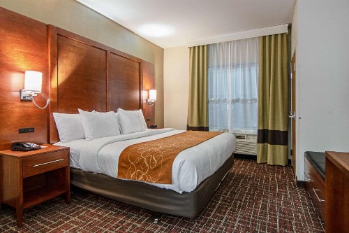 Comfort Suites NW Dallas Near Love Field - image 16