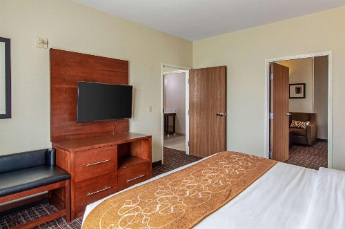 Comfort Suites NW Dallas Near Love Field - image 22