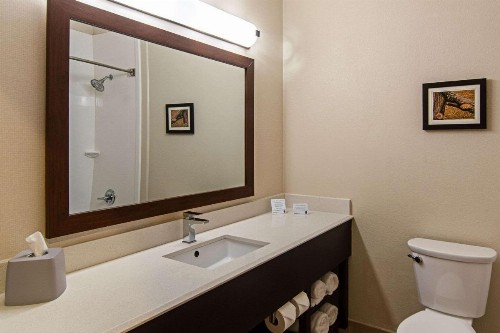 Comfort Suites NW Dallas Near Love Field - image 28