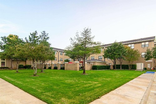 Comfort Suites NW Dallas Near Love Field - image 3