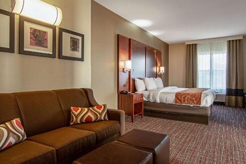 Comfort Suites NW Dallas Near Love Field - image 32