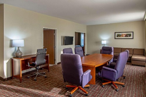 Comfort Suites NW Dallas Near Love Field - image 34
