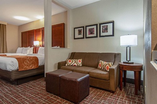 Comfort Suites NW Dallas Near Love Field - image 36