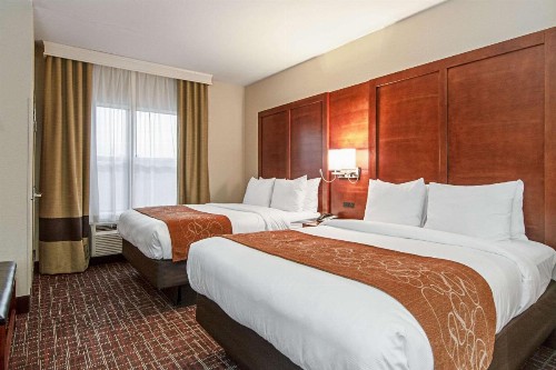 Comfort Suites NW Dallas Near Love Field - image 37