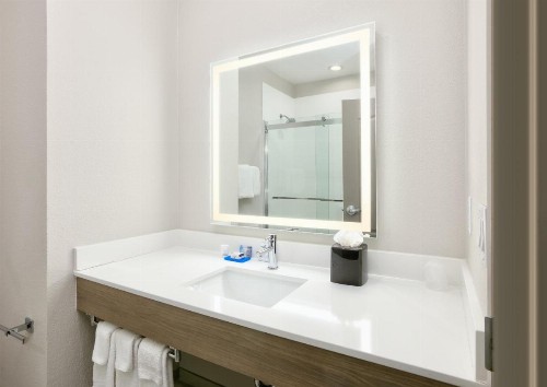 Holiday Inn Express & Suites North Dallas at Preston an IHG Hotel - image 12