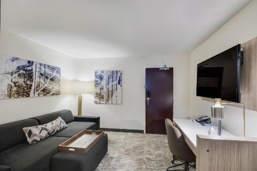 SpringHill Suites by Marriott Dallas NW Highway at Stemmons / I-35East - image 9