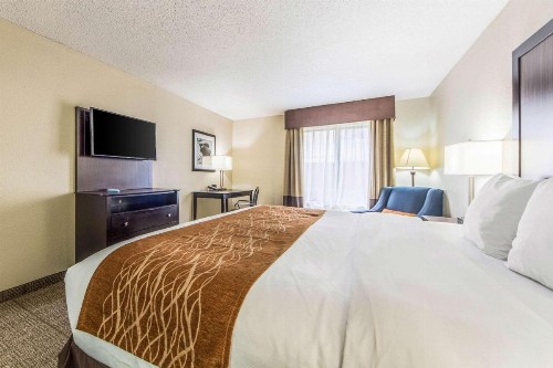 Comfort Inn Dallas Park Central - image 11