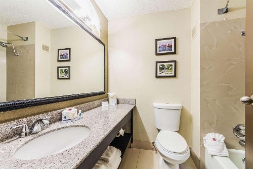 Comfort Inn Dallas Park Central - image 12