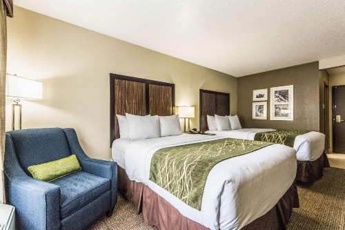 Comfort Inn Dallas Park Central - image 16