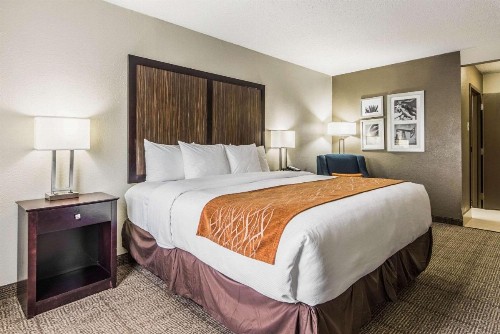 Comfort Inn Dallas Park Central - image 6