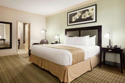 DoubleTree by Hilton Hotel Dallas - Love Field - image 24