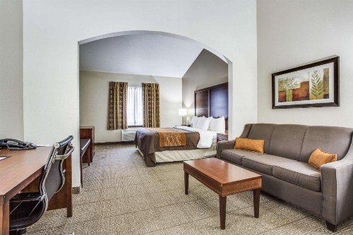 Comfort Inn & Suites Love Field – Dallas Market Center - image 10