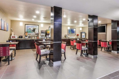 Comfort Inn & Suites Love Field – Dallas Market Center - image 12