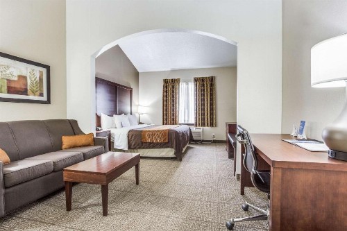 Comfort Inn & Suites Love Field – Dallas Market Center - image 13