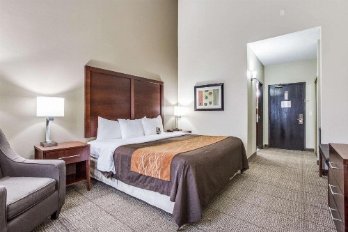 Comfort Inn & Suites Love Field – Dallas Market Center - image 2