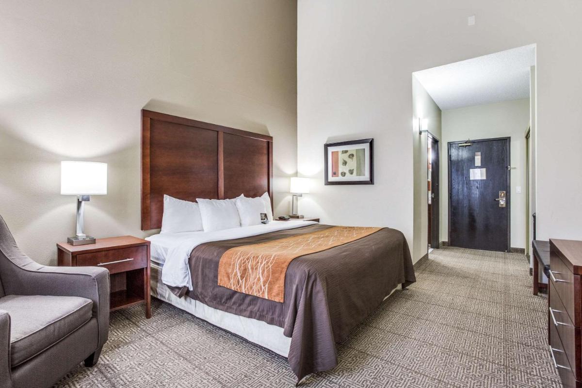 Comfort Inn & Suites Love Field – Dallas Market Center - image 2