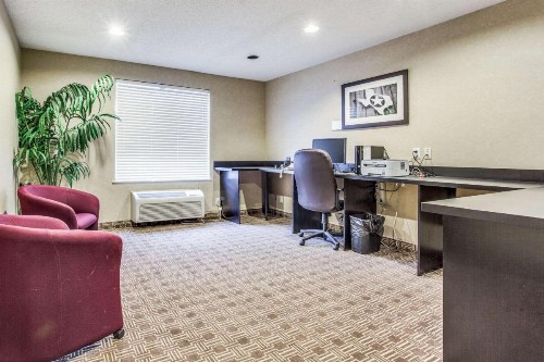 Comfort Inn & Suites Love Field – Dallas Market Center - image 3
