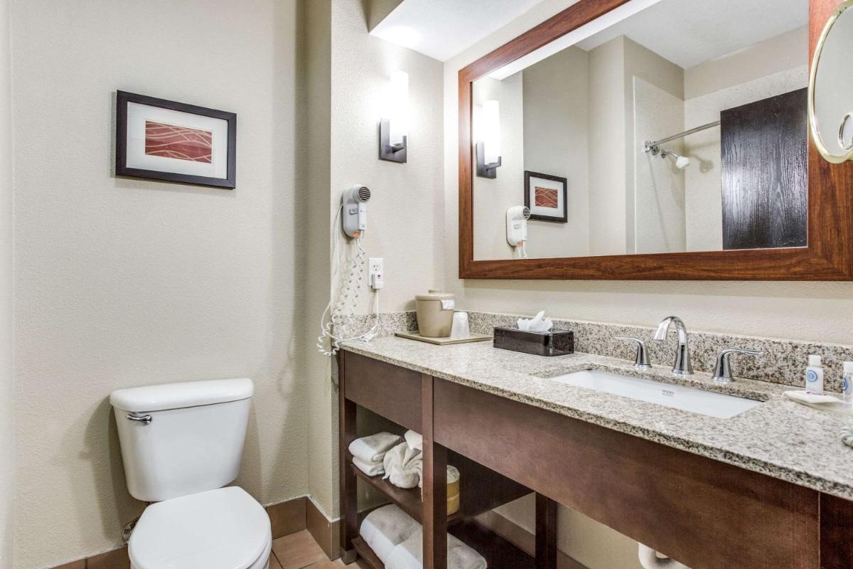 Comfort Inn & Suites Love Field – Dallas Market Center - image 5