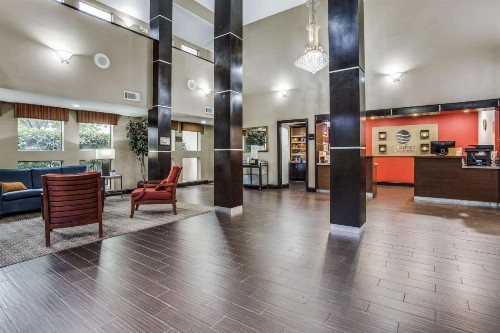 Comfort Inn & Suites Love Field – Dallas Market Center - image 8