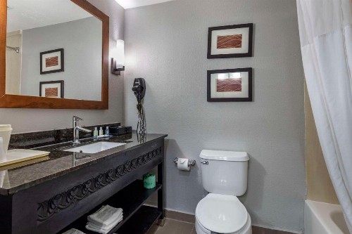 Quality Inn & Suites I-35 E/Walnut Hill - image 16