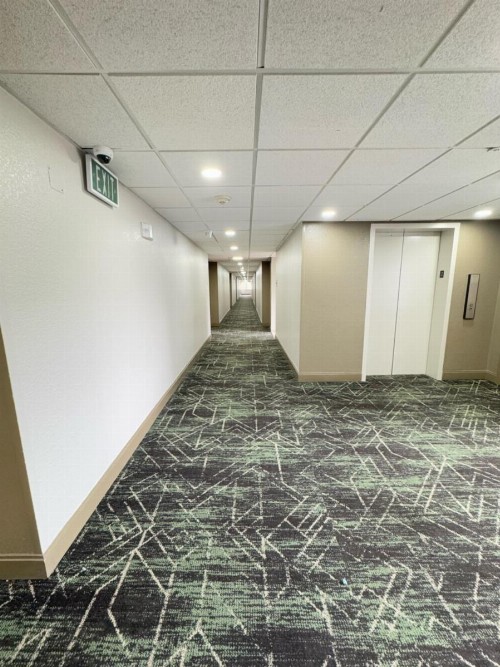 OYO Townhouse Dallas Love Field Airport - image 43