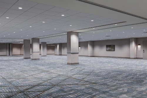 Hyatt Regency DFW International Airport - image 23