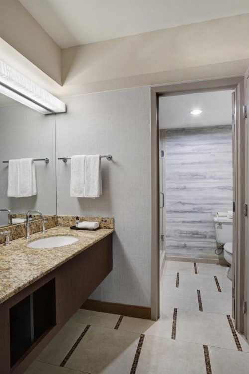 Hyatt Regency DFW International Airport - image 31