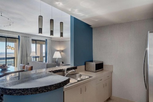 Hyatt Regency DFW International Airport - image 33