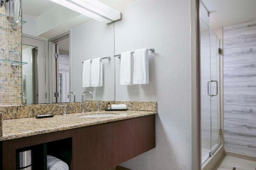 Hyatt Regency DFW International Airport - image 6