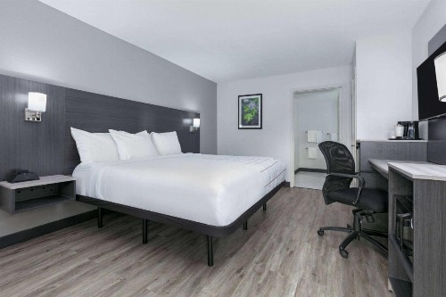 La Quinta Inn by Wyndham Dallas Uptown - image 5