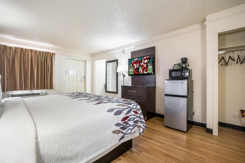 Red Roof Inn Dallas/Richardson - image 12