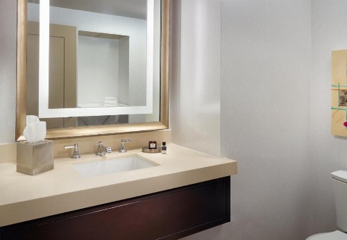 Omni Dallas Hotel - image 42