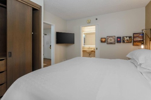 Sheraton Suites Market Center Dallas - image 31