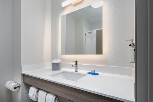 Holiday Inn Express Hotel & Suites Dallas West an IHG Hotel - image 10
