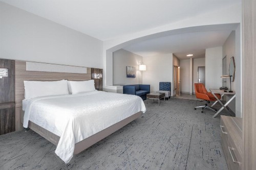 Holiday Inn Express Hotel & Suites Dallas West an IHG Hotel - image 15
