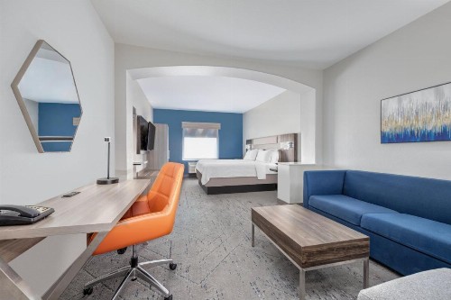 Holiday Inn Express Hotel & Suites Dallas West an IHG Hotel - image 17