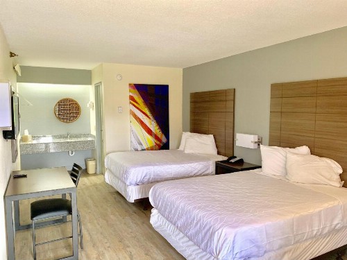 Dallas Love Field Inn - image 42