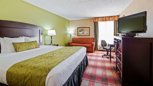 Best Western Plus Addison/Dallas Hotel - image 17