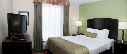 Best Western Plus Addison/Dallas Hotel - image 21