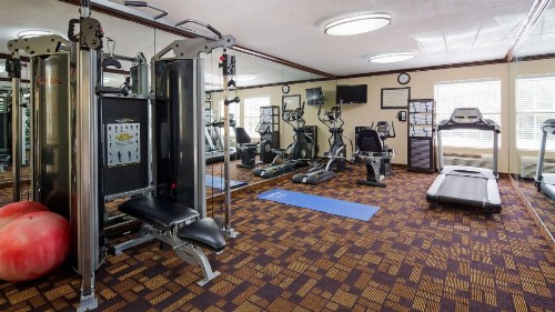 Best Western Plus Addison/Dallas Hotel - image 9
