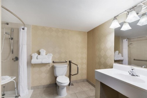 Wyndham Garden Dallas North - image 21
